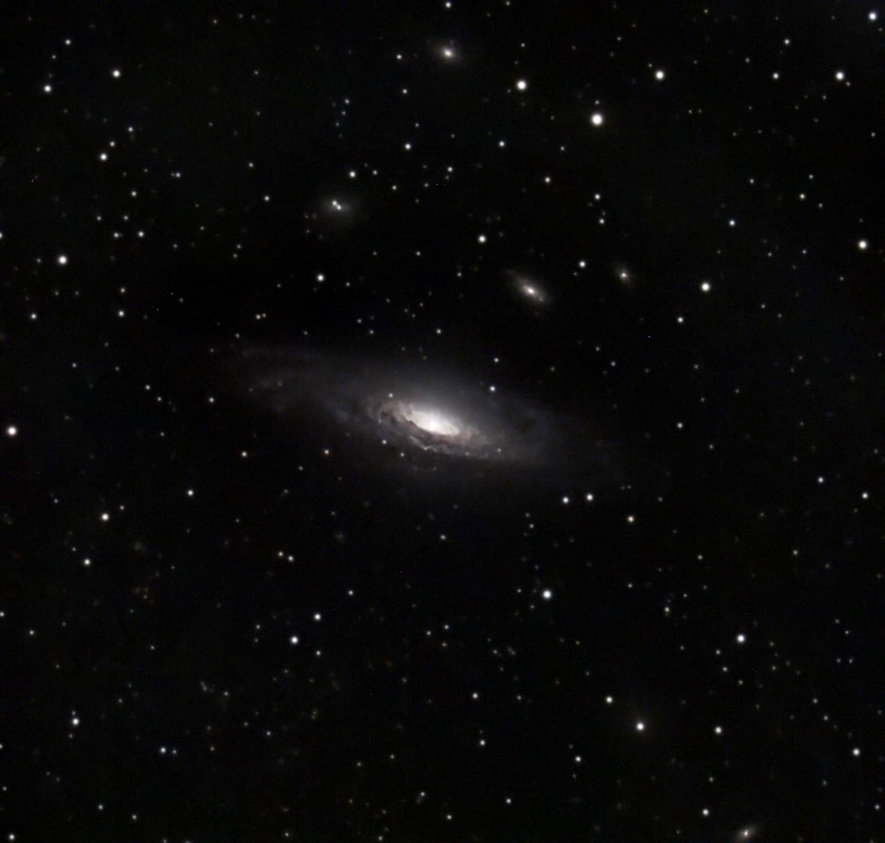 NGC 7331 and the Deer Lick galaxy group photographed by Jeremiah Smith
