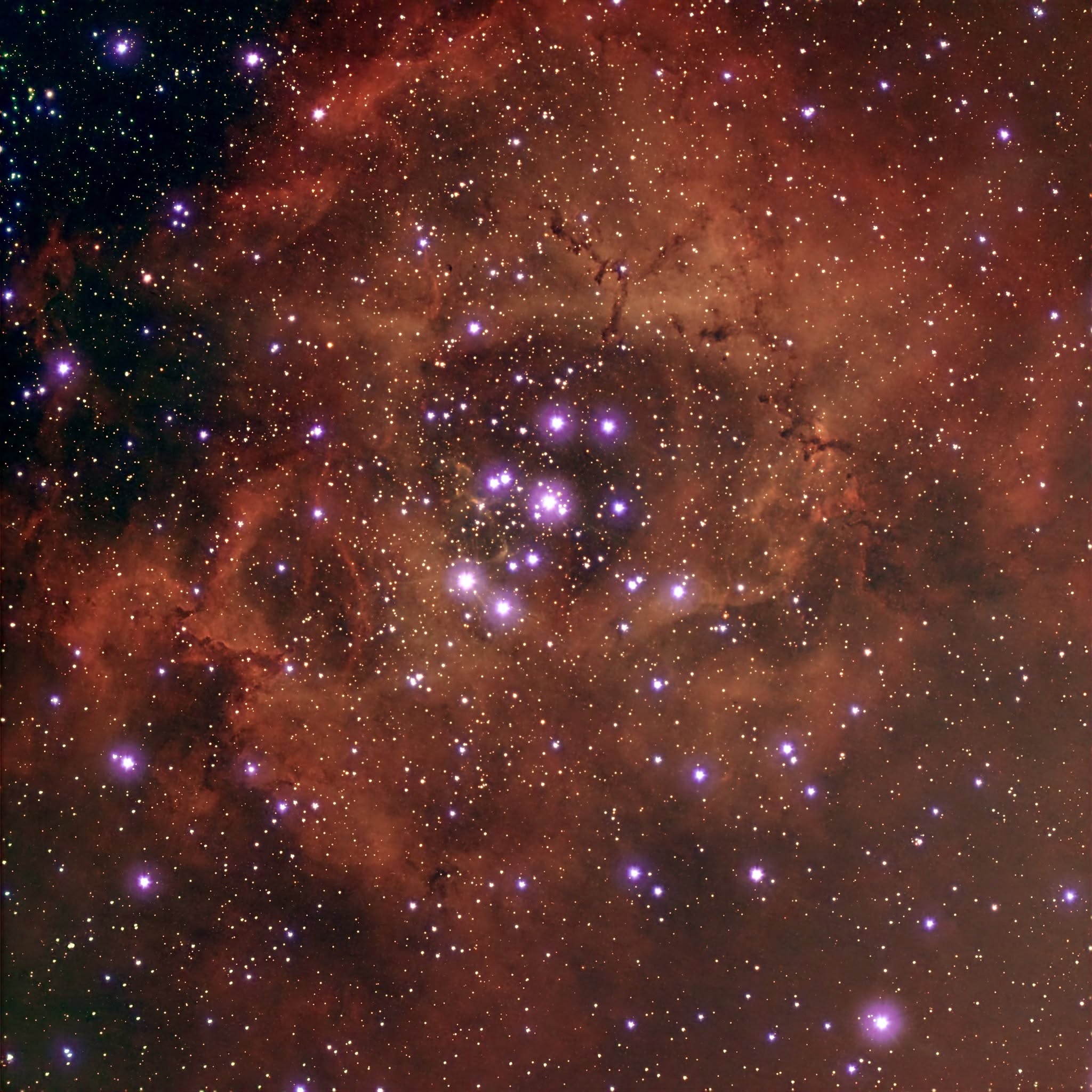 The Rosette Nebula photographed by Jeremiah Smith