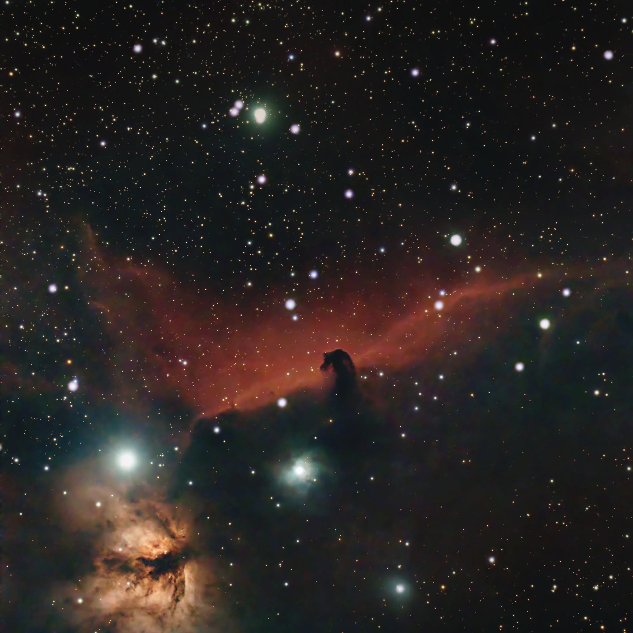Horsehead and Flame Nebulae near Alnitak photographed by Jeremiah Smith